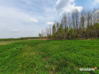 Działka pod inwestycję, podział, zamieszkanie ok.8000m2