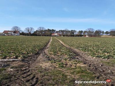 Działka pod zabudowę w Olszewie k/Nidzicy