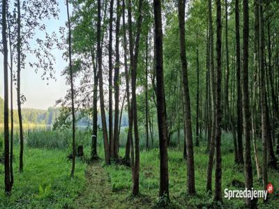 Działka przy jeziorze z linią brzegową 700 m2 Warpalice