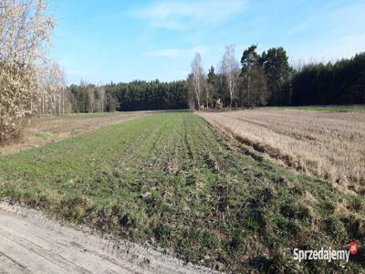 Działka rekreacyjna pod zabudowę