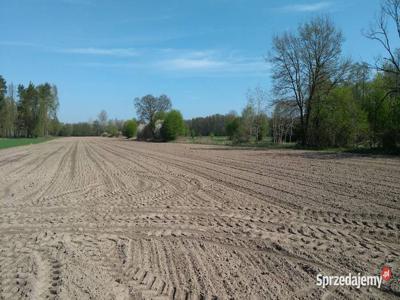 Działka rolna 3000 mkw okolice Płocka gmina Słupno