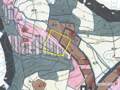 Działka rolna w gminie Limanowa 1,58 ha