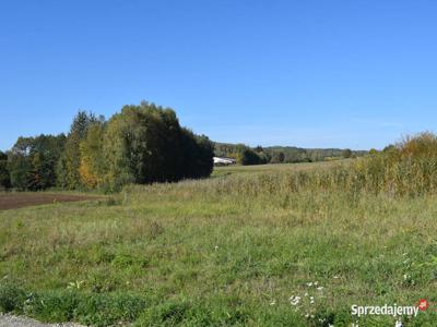 Działka rolno-budowlana 1.13ha- Przedmieście Dubieckie