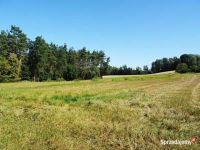 Działka z lasem - 4,83ha - obszar Natura 2000 !