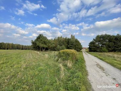 Działka z możliwością budowy domu - 14 arów