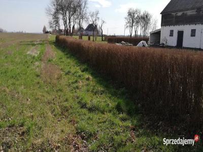 Działka w ROBUNIU 24 km od KOŁOBRZEGU z warunkami zabudowy 3201 m 2 (Robuń)