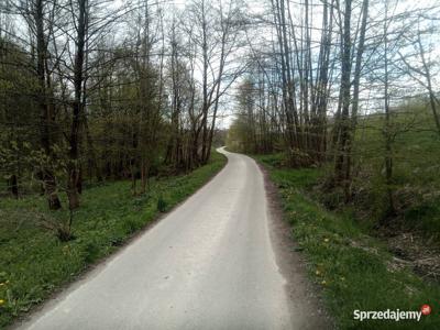 Działki leśne nad strumykiem pod domek letniskowy