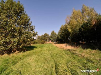 Działki Rolne 1,20ha Okulice, Bessów, Bratucice