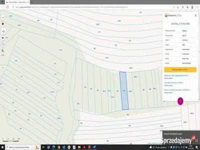 Działki rolne /lasy