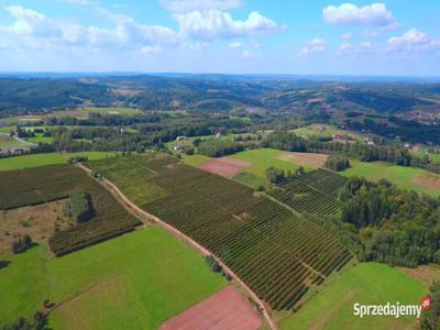 Działki widokowe, budowlane w Straszydlu k/Rzeszowa, Rzeszów