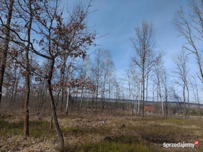 Grunt na sprzedaż 1000m2 Bodzentyn