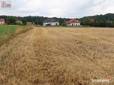 Grunt na sprzedaż Narama Iwanowice, województwo małopolskie, Poland 24000m2