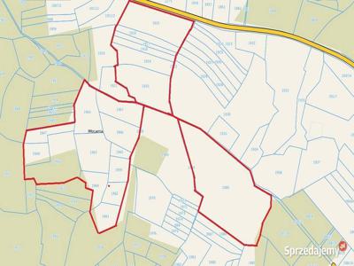 Grunty Rolne (21,3154 ha) Ogrodzieniec (Podzamcze)