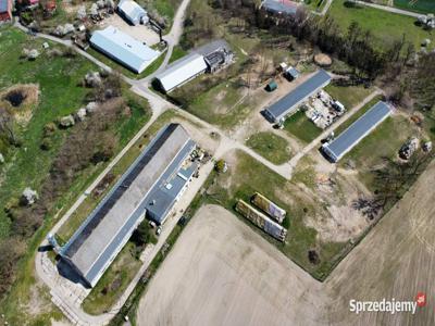 Hale, magazyny, dom, gospodarstwo, ferma 3,7 ha 5000m kw