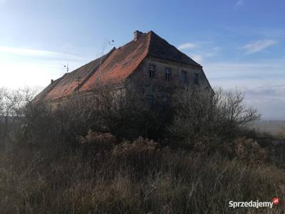 KAMIENIEC Stary Zawidów, gmina Sulików, woj. dolnośląskie