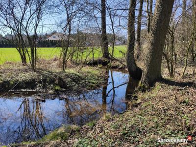 KIKI gm. Wodzierady, piękna działka nad rzeką, blisko Łódź