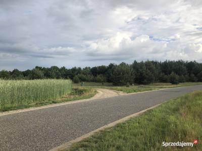 Kolankowo-Prądocin teren inwestycyjny pod miejscowym planem