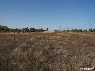 Kolonia Golina - działka rolna o pow. 4,8400 ha + stawy