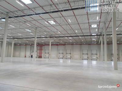 Lokal 5700m2 Opole