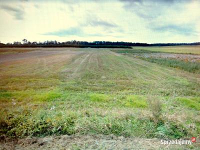 Małoszyce, Żarnowiec. Działka 4200m2 częściowo pod zabudowę.