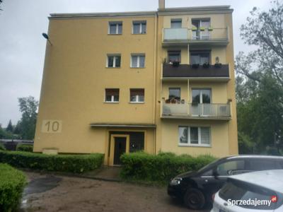 Mieszkanie 3 pokoje, 48m2 Gniezno Chudoby