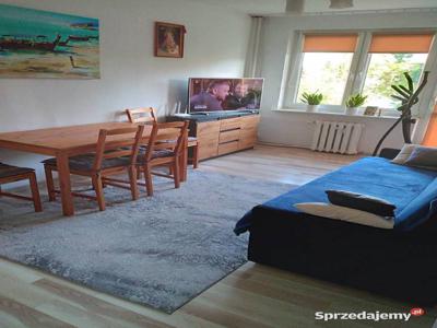 Mieszkanie 3 pokojowe na sprzedaż Opole Lubelskie