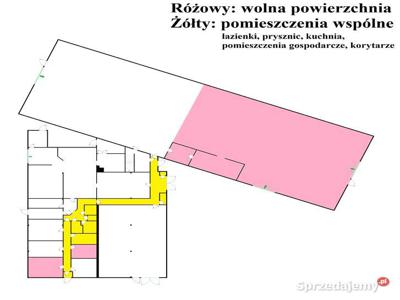 Nieporęt - 560 m2 hala + 30 m2 biuro - do wynajęcia