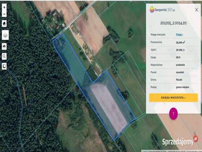 Nieruchomosc w Ludwinowie, Gmina Raczki 3ha +5,600m2 siedlis