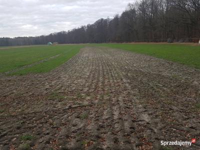 Nowa Bogacica Działka rolno-budowlana · 1000 m²