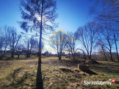 Oferta sprzedaży działki 4500m2 Jaktorów-Kolonia