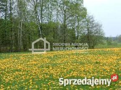 Oferta sprzedaży działki 4980m2