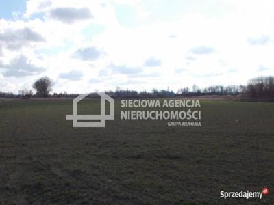 Oferta sprzedaży działki Grabno 12000m2