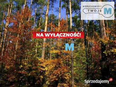 Oferta sprzedaży działki Pierzchnica 45000 metrów