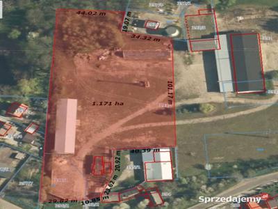 Oferta sprzedaży gruntu 11700m2 Cielce