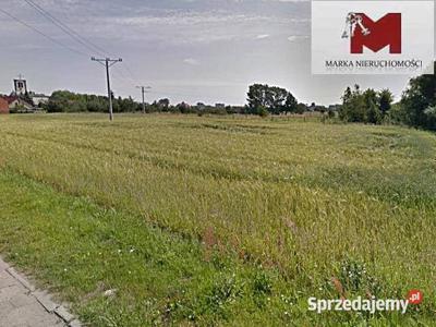 Oferta sprzedaży gruntu Kędzierzyn-Koźle Sucharskiego 2126m2