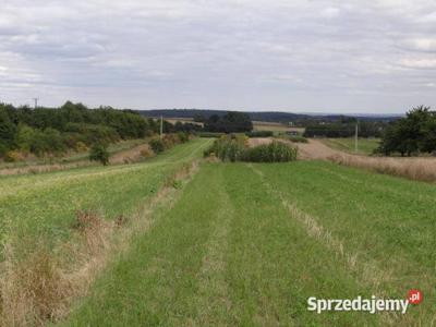 Ogłoszenie grunt 7600m2 Skała