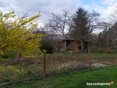 Ogródek działkowy - ROD SŁONECZNIK Świdnica