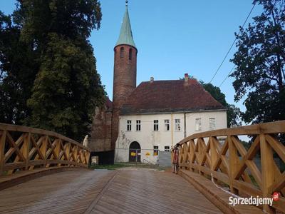 Średniowieczny zamek w Borach Stobrawskich