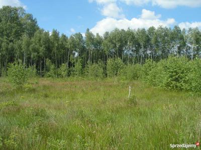 SANATORYJNY KLIMAT,60 km.od Warszawy działka inwestycyjna