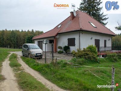 Siedlisko na polanie wśród lasów na Kaszubach