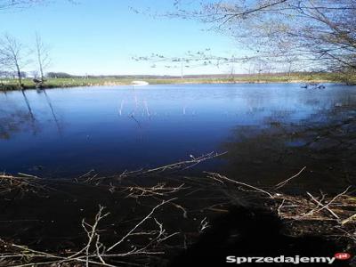 Siedlisko z domem + działka 1.15 ha