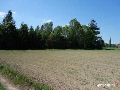 Skoczów Pruchna 1,15ha pod stadnine koni rezydencje w samym