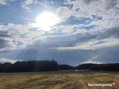 Sprzedam działki budowlane Oleśnik gm. Bełchatów