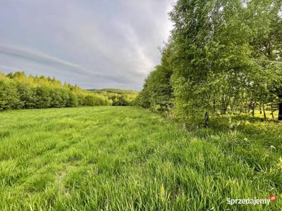 Sprzedam atrakcyjną działkę 47 ar - las, potok