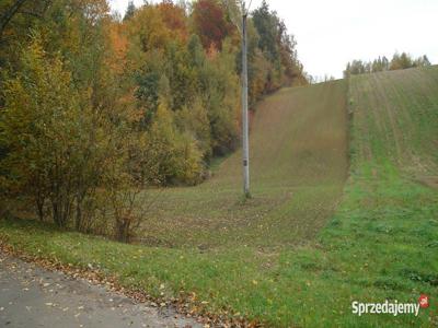 Sprzedam działkę budowlaną Aleksandrówka, gmina Batorz