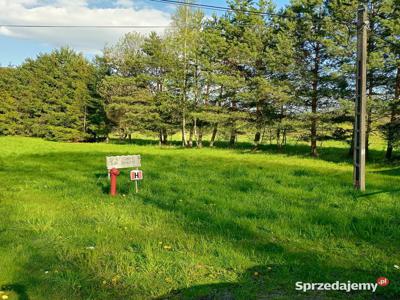 Sprzedam działkę we Florynce 12 ar budowlana i inwestycyjna