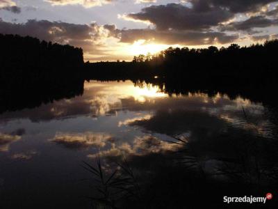 Sprzedam działkę, współwłasność,linia brzegowa Mazury