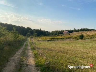 Sprzedam działka Cielętniki 1500m2