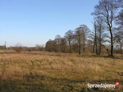 Sprzedam działki budowlane w Leoncinie