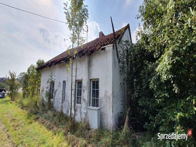 Syndyk sprzeda dom mieszkalny jednorodzinny w Boguszewie